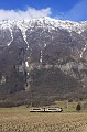 IMG_0144