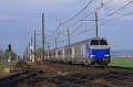 IMG_0450