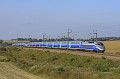 IMG_2784