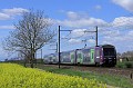 Z23512