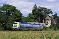 Z23516