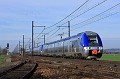 Z27533