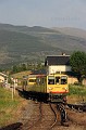 Canar(5)