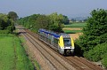 B81528