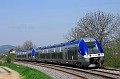 B81529