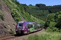 B81556