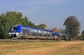 B81567
