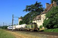 IMG_7031