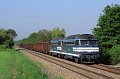 IMG_0444