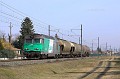 IMG_0507