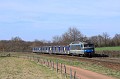IMG_1652