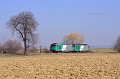IMG_1986