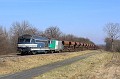IMG_9869