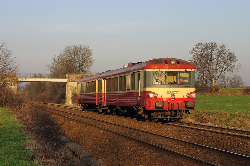 X4550.JPG