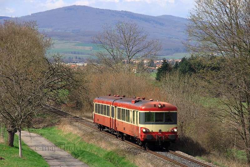X4696.JPG