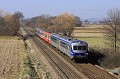 IMG_1805