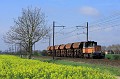 IMG_0067