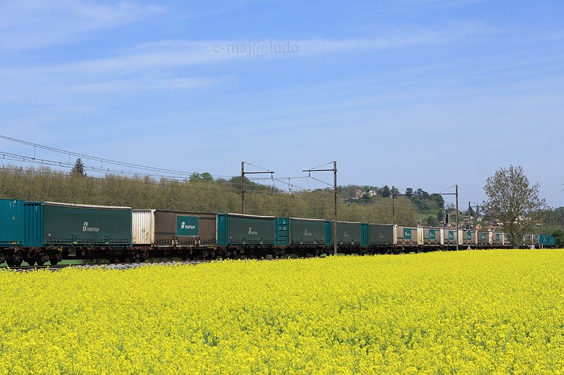 Trenitalia.JPG
